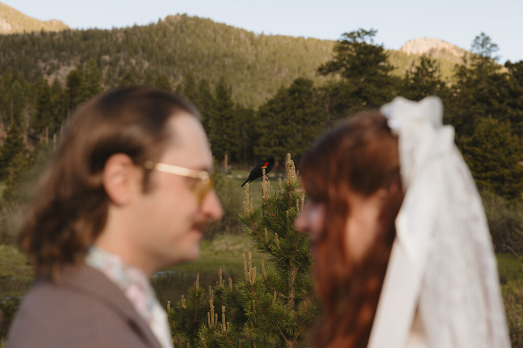 Colorado Rocky Mountain Elopement