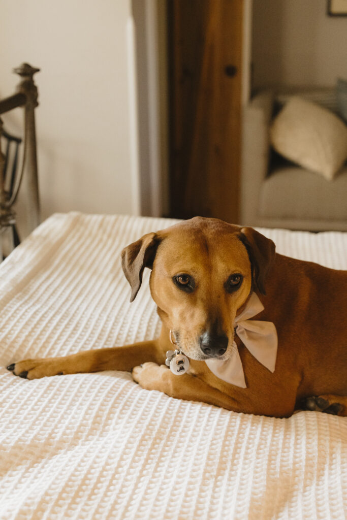 Hudson Valley New York Intimate Wedding